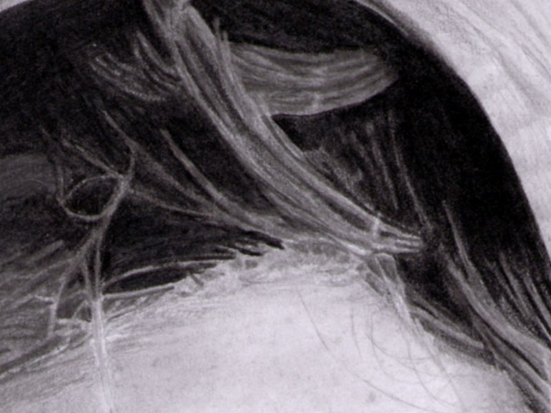 L'Afghane aux Yeux Verts – Image 4