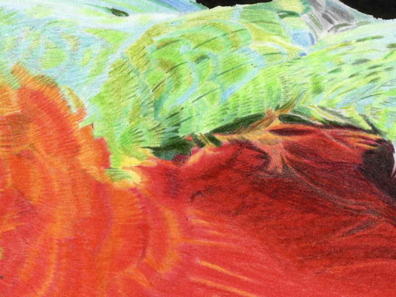 Ara – Image 4