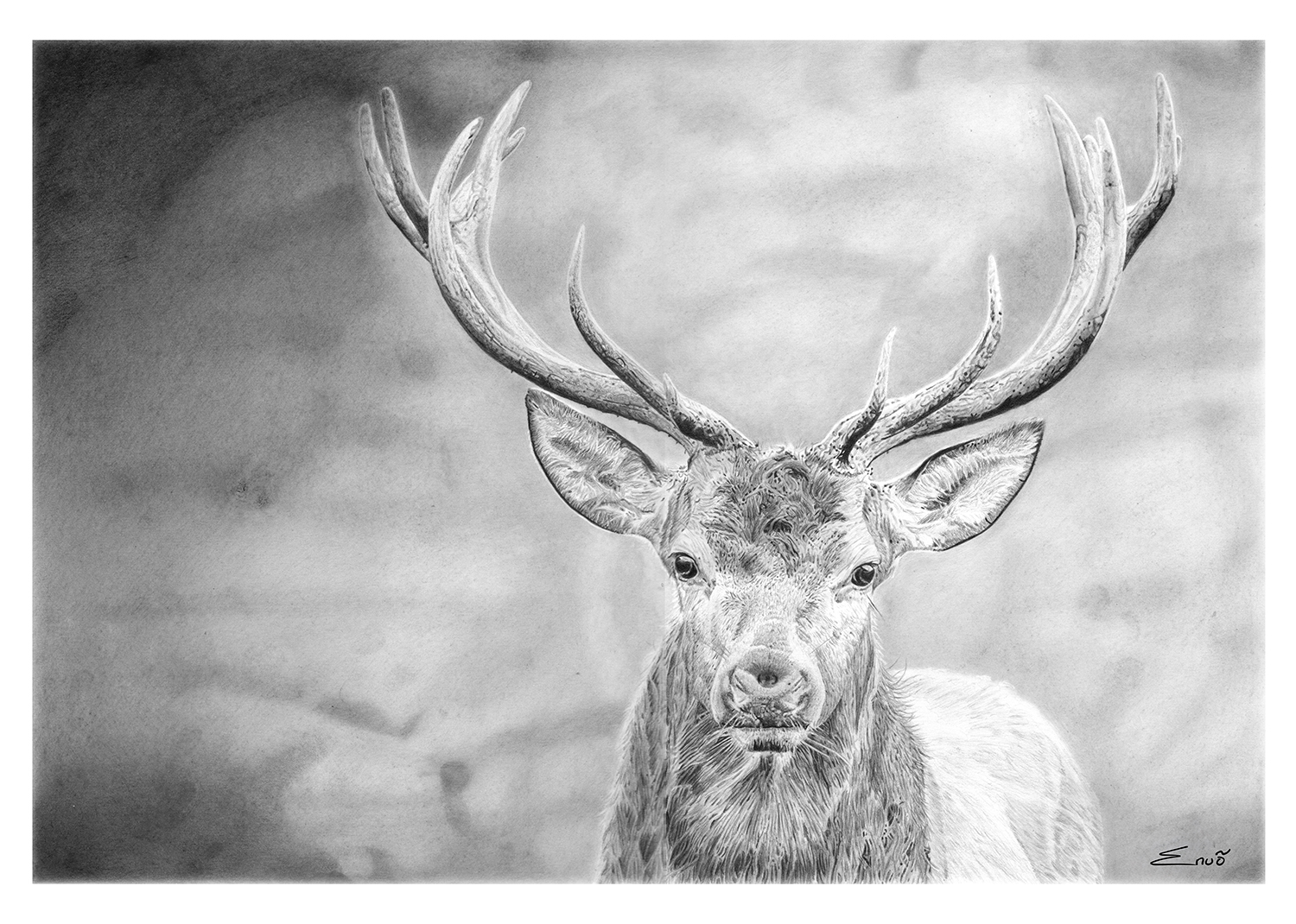 Cerf