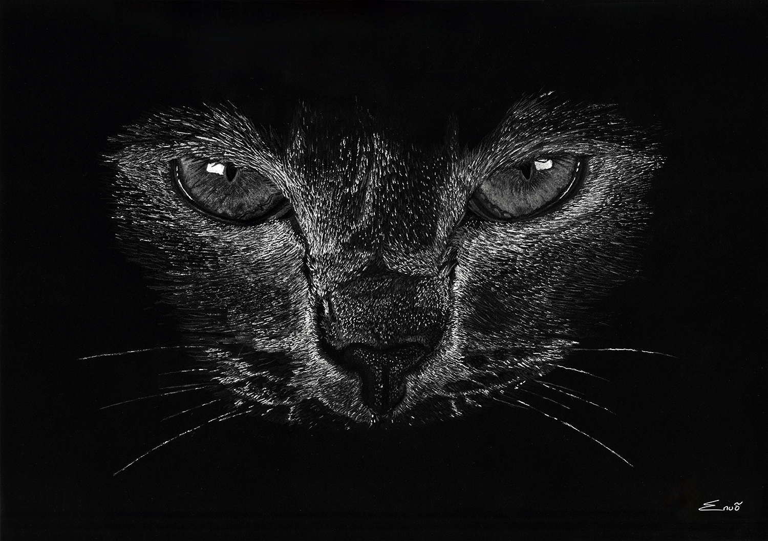 Chat