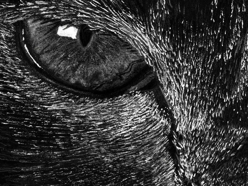 Chat – Image 2