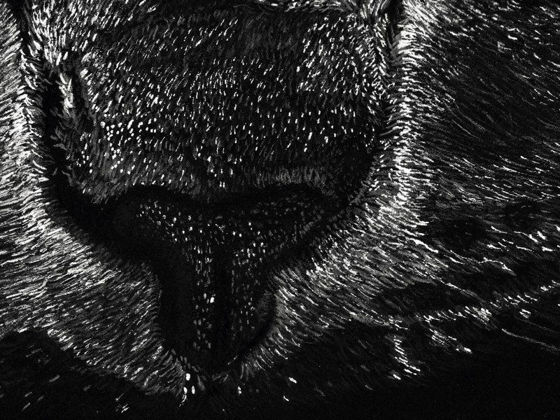 Chat – Image 4