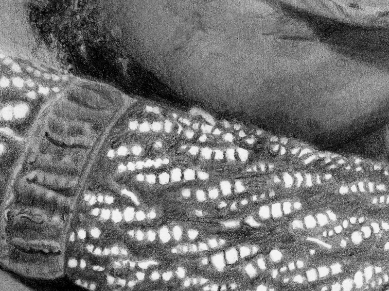 Himba – Image 2