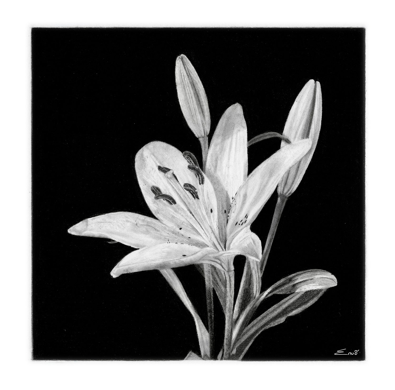 Fleur de Lys