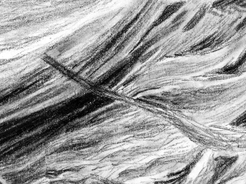 Lion – Image 4