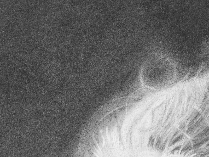 Marie Curie – Image 4