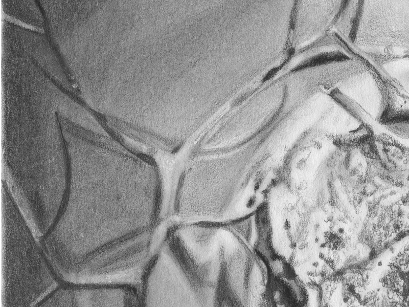 Nigelle – Image 4
