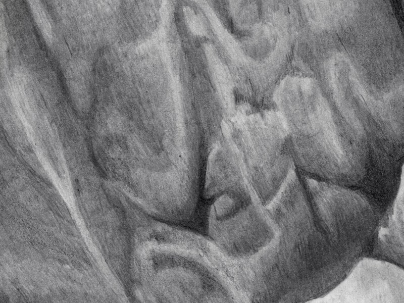Pur Sang – Image 2
