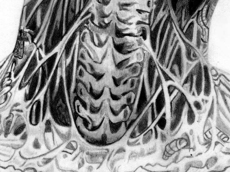 Rick Genest – Image 3