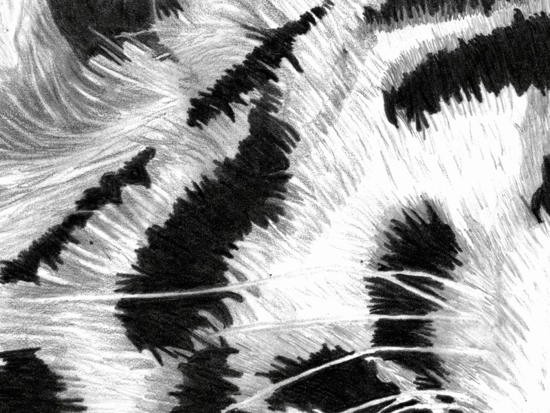 Le Tigre – Image 2