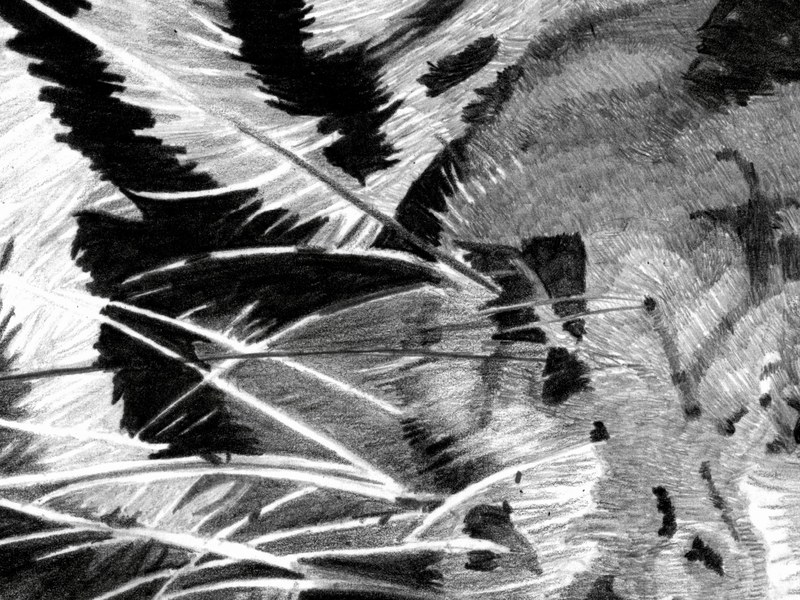 Le Tigre – Image 3