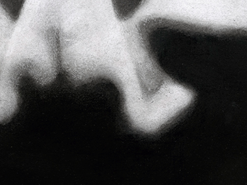 Hermaphrodite – Image 4